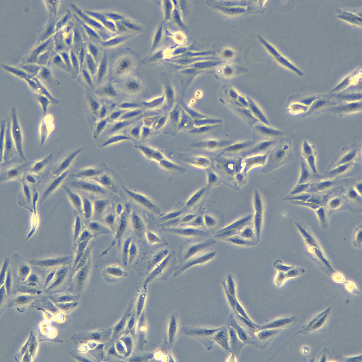 2025-09-17 14:31:44.jpg