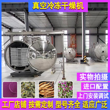 冻干青花鱼宠物零食低温冷冻设备 鸡鸭肉碎猪肝食品冻干机械