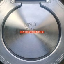 H74X-16P DN200薄型止回阀 304  316L对夹止回阀  软密封逆止阀