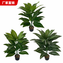 仿真植物把束美人蕉 天堂鸟香蕉叶把束30头家居装饰热带雨林装饰