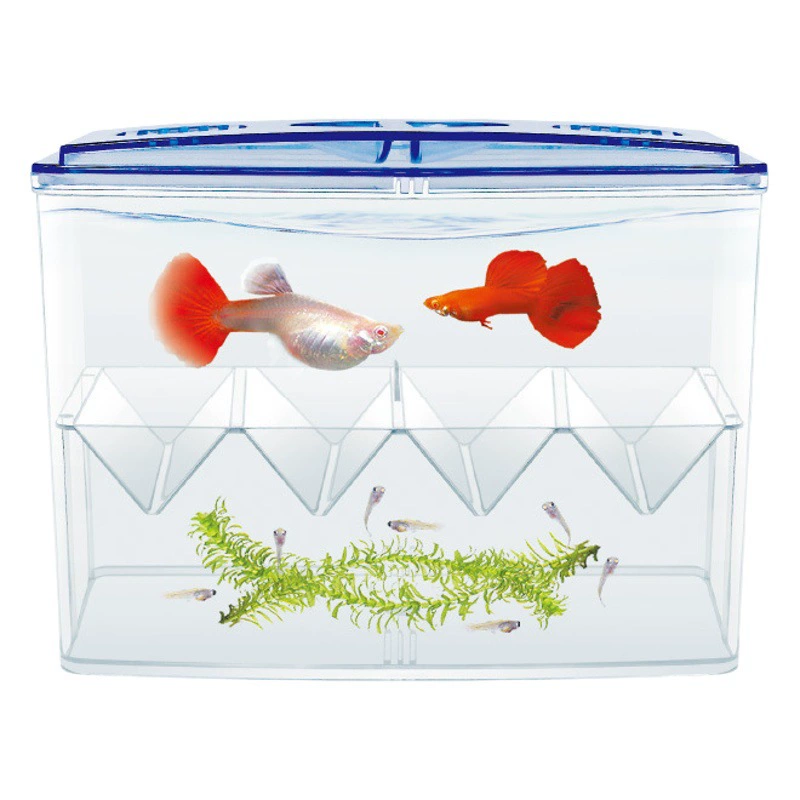 Инкубационный ящик для резервуара для каракатицы независимый изолирующий ящик для разведения ведро ящик для рыбы акриловый изолирующий резервуар внешний Многофункциональный