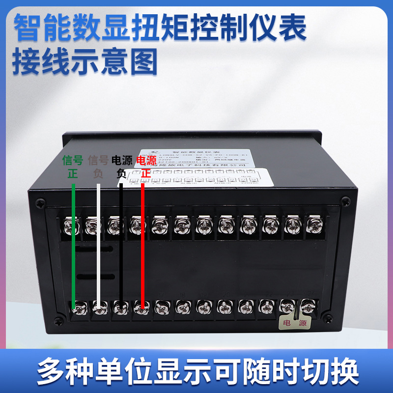 ¡��NJY-101Ť��������������Ť�ش�������ʾ�����Ǳ����