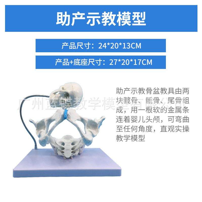 ��̬��ѧ����ɻŮ�Թ��輰�ӹ�ģ����ǻ�ṹ������׼��⿵��