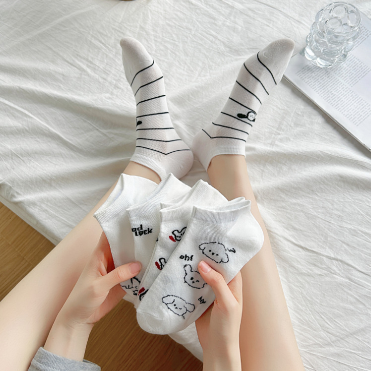 D263 women's socks [little white dog]