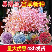 ڝMǷN ļ_ױ̨Լͥ҃^pܷNZ