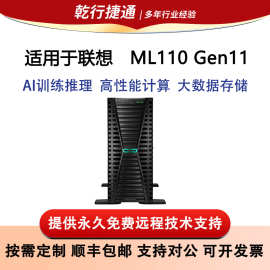 适用于惠普 ML110 Gen11单路塔式服务器 至强第四代第五代可扩展
