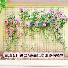 �@ˇ���W�W������ֲ�������Ϡ��F�z�W ͥԺ�������������W��W��