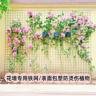 �@ˇ���W�W������ֲ�������Ϡ��F�z�W ͥԺ�������������W��W��