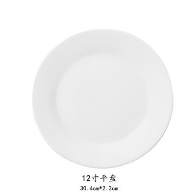 12 인치 플랫 플레이트