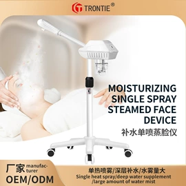 美容喷雾仪;蒸汽清洁机;美发椅