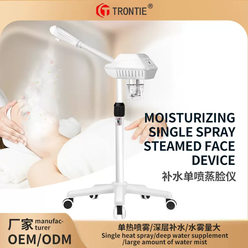蒸脸器脸部喷雾器美容院新款补水仪美容仪喷雾机热喷跨境批发