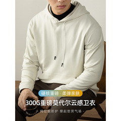 柜货奢品！秋冬重磅莫代尔云感厚实上衣男士高端休闲时尚连帽卫衣