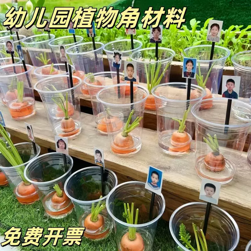 Экологические инновации в детском саду, натуральные материалы для посадки в углу, прозрачный гидропонный стакан, реквизит для наблюдения за ростом растений в углу