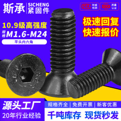 10.9級高強度沈頭ねじm 2m 3m 4m 5m 6m 8内六角平頭六角ボルトdin7991