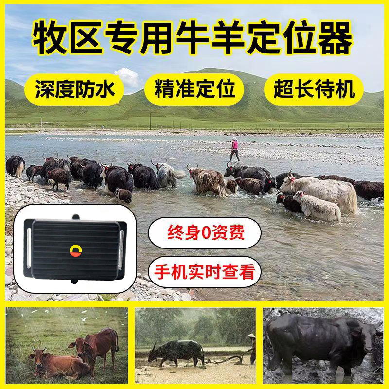 Cow and Sheep Locator 4G Full Network Strong Magnetic 10000mAh Long Standby Beidou GPS Dual-Star Wireless Global Tracker