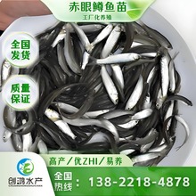  һ؛Դ V~ t۰~ ߮aB ~