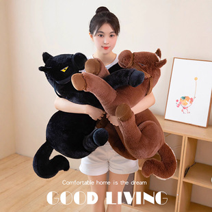������R�ɐ�ſ����ż�����L�lſſ������ɳ�l�����|��˯�A�����^