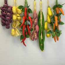 �����߲��������������״��⻨���촮�r�Ҙ��ͥԺģ���b���