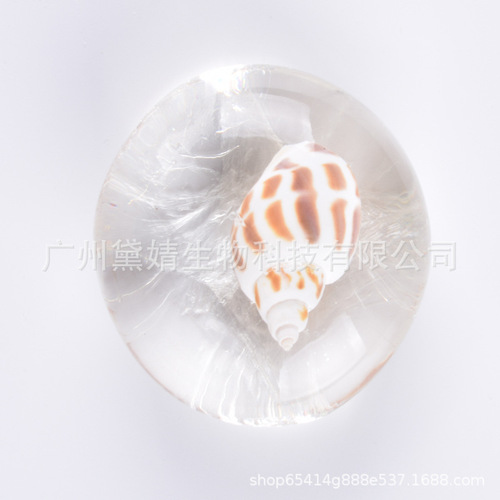 Amino Acid Essential Oil Soap Transparent Soap Conch Shell Starfish Creative Handmade Soap Cleansing Bath Soap One Piece Dropshipping