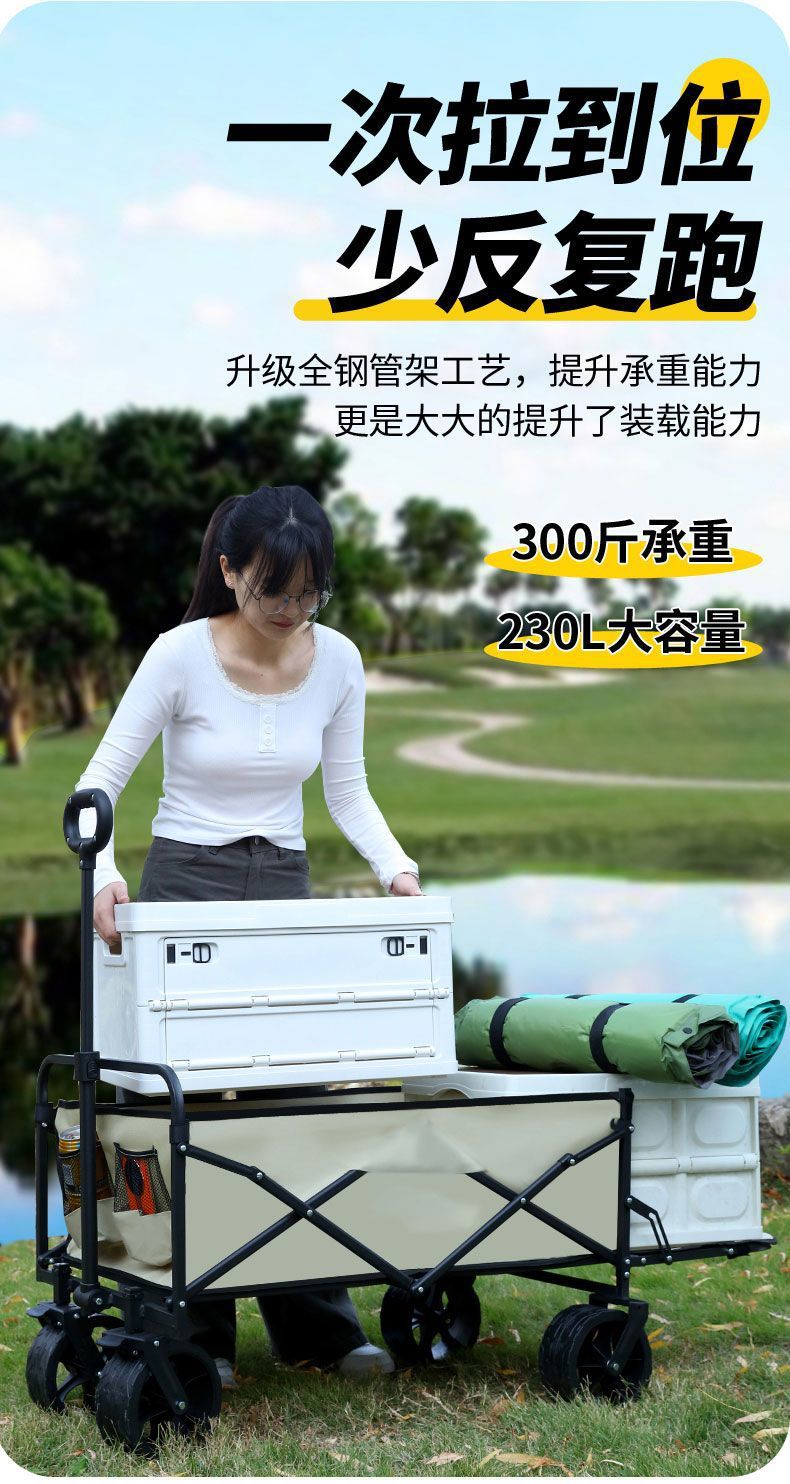 db192838-5211-4295-9830-981d95e2d8a2.jpe