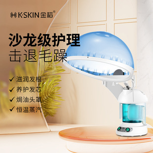 Golden Rice Evaporation Cap Sprayer Steam Face Hydrating Instrument Beauty Thermal Spray Instrument for Beauty Salon KD2328A