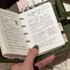 Оливковый