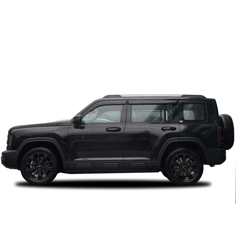 Tenxinrui es adecuado para Gran Muralla Haver Raptor coche lluvia escudo ventana lluvia ceja modificación lluvia escudo accesorios exteriores