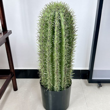 ���ͱ��W����ֲ�����˰��҃�PU�ָ��z������������ins�L��c�[��