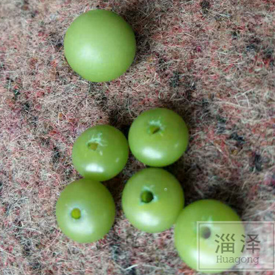 supply fruit dyeing Pu Tizi green Colorings Dye Botany Colorants