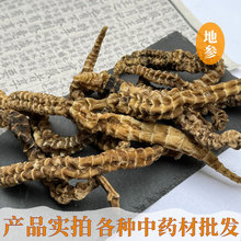 地参 虫草参 地摊展会虫草参 大条虫草参 粗条虫草参地参干货批发