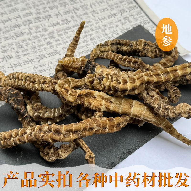 地参 虫草参 地摊展会虫草参 大条虫草参 粗条虫草参地参干货批发