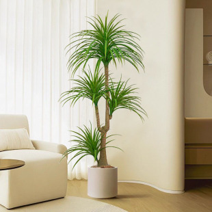 ��Ѫ�����Gֲ���F��͏d�b��҃ȴ��ͼ�ֲ��������ؔ[�������