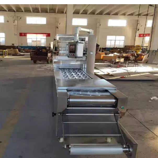 连续式全自动拉伸膜真空包装机 鸡胸肉全自动拉伸封口机 支持定做