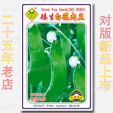 ���m���N�������v����Nֲ�߲˷N�Ѳ��㶹���ѷN�׷N�o�w�S�N��