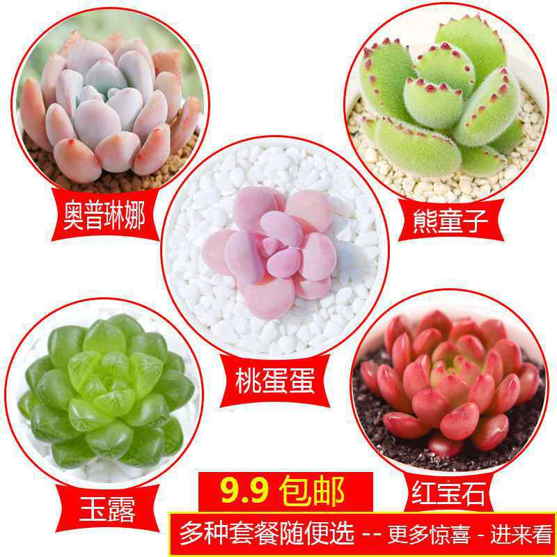 [5종 패키지 D] 세면대가 필요하신 경우 세면대를 포함하여 주문하세요.