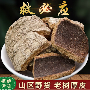 Ұɽ�ȱؑ���؛��؛