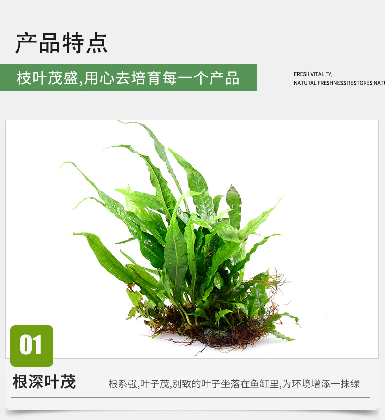 Zhifeng details page new 2_07