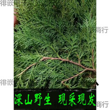 �FժҰ���Y��Ȱؘ�֦��ؘ��~ϴ�l�ݾ�Ѭ�D���}�Q�仨�h���r