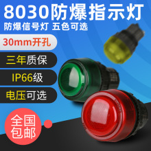 8030防爆信号灯指示灯24V36V220V380V红绿防爆配电箱LED灯ExdeIIC