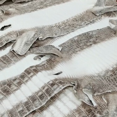 Imported Nile Crocodile Soft Belly Himalayan Real Crocodile Leather Watch Belt Belt Shoe Bag in stock Double Color No Return No Change