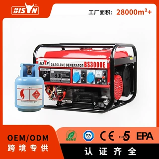 Bison双燃料天然气带LPG小型汽油发电机组3kw220v家用燃气发电机