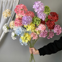 3�^���� ����С���� ��Y���쾰�������Ż��bٻ��͏d�b[��