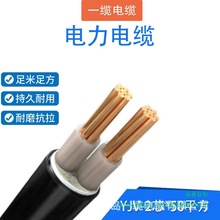 ����ϩ���^�������| YJV-0.6/1kV-2о*50ƽ�� ��ɫ��1�ף�