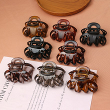 �l�������ץ���s�߼��д�̖�Ϲ�ץ�A����Ů���X�ױP�l���~�l�A��