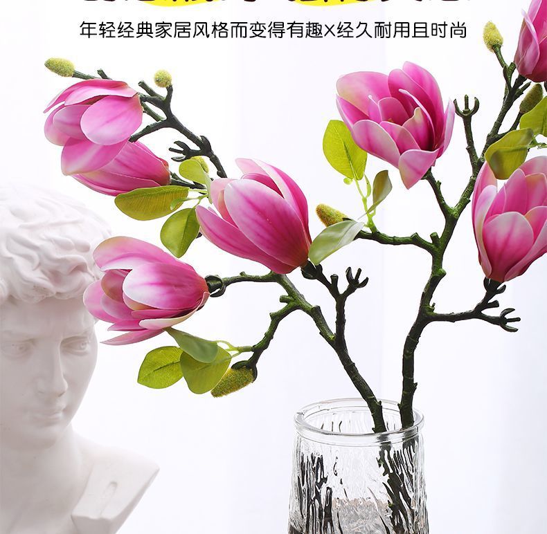 c29c6ee8-68d2-4db1-8d6f-782c71cc9fab.jpe