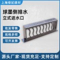 Ductile Iron Vertical Grate Rainwater Outlet Road Side Drain Curb Side Drain Manhole Cover Grate Ductile Iron