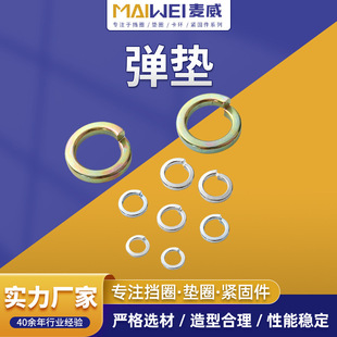 316�_�ڏ��ɉ|Ȧ304���ԉ|Ƭ ���ɏ��|Ƭ���P���\���ԏ��ɉ|Ƭ