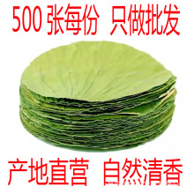 商用批发 500张装荷叶整张荷叶饭木桶糯米鸡专用荷叶无硫天然荷叶