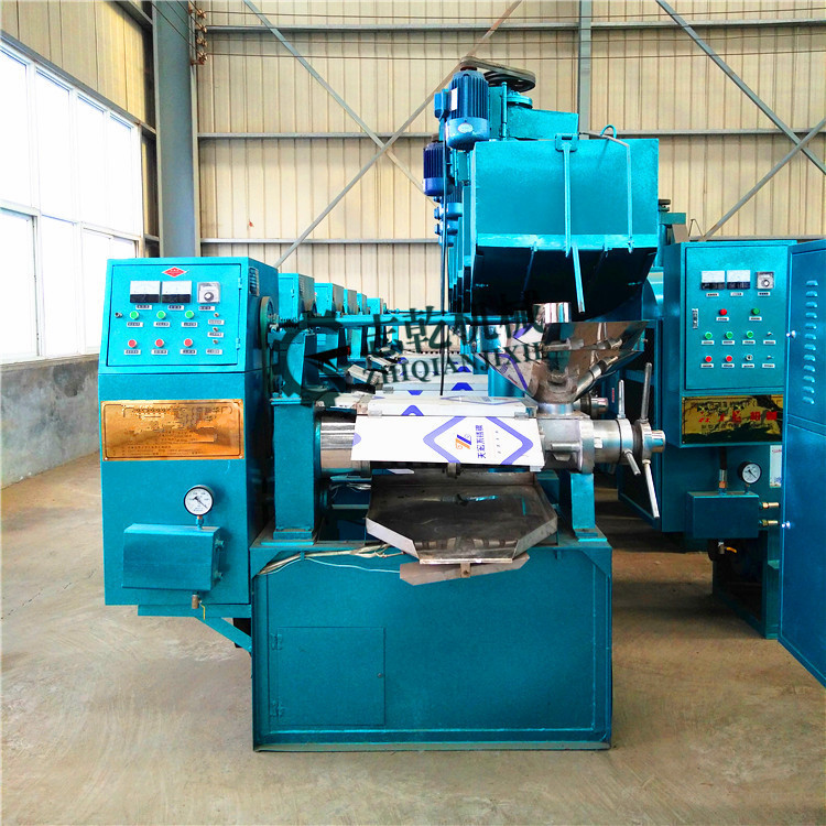 大型榨油机 全自动冷榨热榨两用 高出油率 自动上料 榨油设备