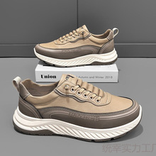 �п���Ь�p����ĥ2025���eЬ�¿���ʿ���wƤ�����ٴ�ܛ��͸��Ь��